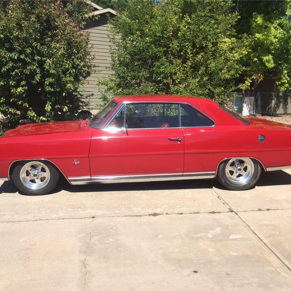 Meet your Posher, Tedd - Picture 1 of 1